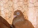 DSCN8206