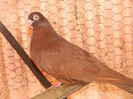 DSCN8292