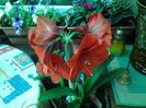 20140506_131145