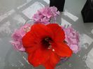 20140505_100433