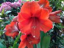 20140503_181359