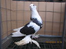 jucatori uzbeci 034