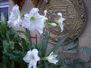 DSCN2243[1]
