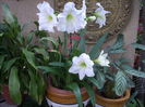 DSCN2261[1]