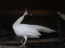 IMG_20141218_083726