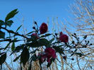 DSCN5908