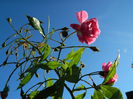 DSCN5922