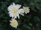 DSCN5943