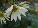 DSCN6033