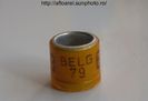 belg 79
