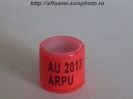 au 2013 arpu