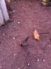 IMG_20141219_125954