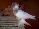 IMG-20141214-01274