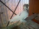 IMG-20141214-01276