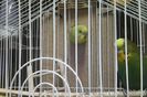 IMG_20141219_232024