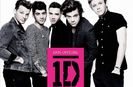 one-direction-1d-100-percent-official-650-430
