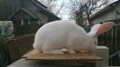WP_20141220_030