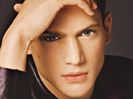 Wentworth Miller  (1)