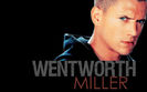 Wentworth Miller  (9)