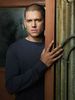 Wentworth Miller  (27)