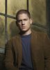 Wentworth Miller  (28)