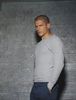 Wentworth Miller  (36)