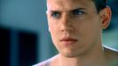 Wentworth Miller  (50)