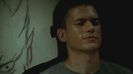 Wentworth Miller  (51)