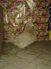 20141220_153057