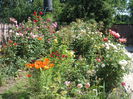 DSCF0355