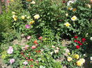 DSCF0360