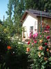 DSCF0364