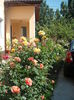 DSCF0383