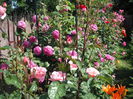 DSCF0395