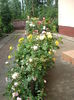 DSCF0408