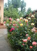 DSCF0419