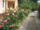 DSCF0462
