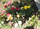 DSCF0543