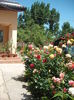 DSCF0569