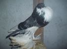100_0872 - Copy