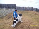 iancu