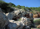 Rusalca, stanci