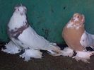 IMG-20141224-01314