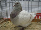 Ausst_Wels_ 235