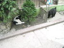 DSCN1454