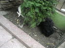 DSCN1457