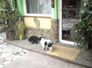DSCN1459