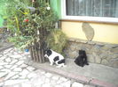 DSCN1460