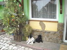 DSCN1461