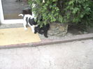 DSCN1468